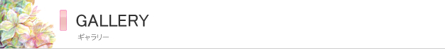 ギャラリー